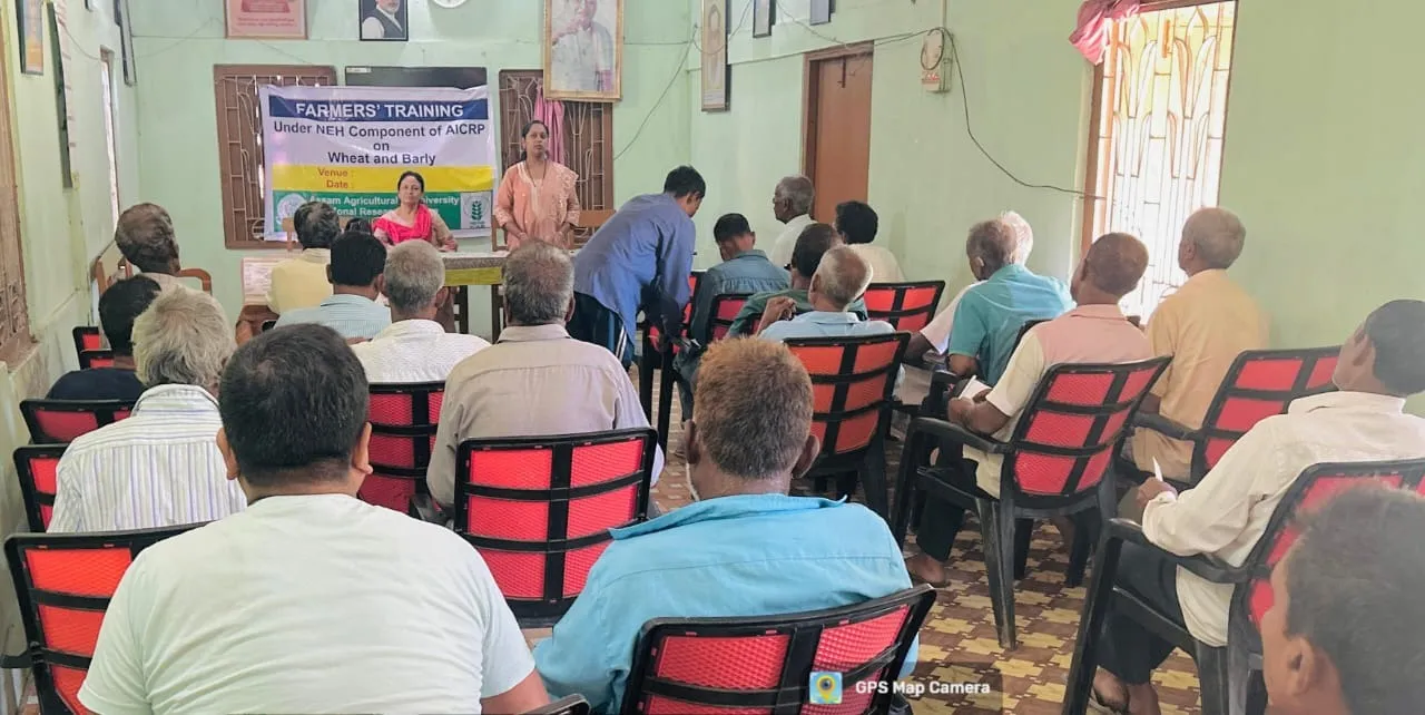 WhatsApp Image 2025-12-06 at 8.48.10 PM