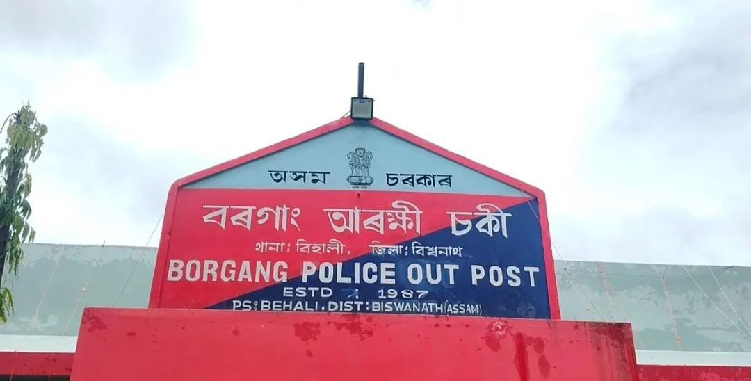 a187e62e-7c3a-4df2-8cea-b039816b867d