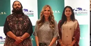 2d3dae98-16af-4481-a9c9-54065184902e