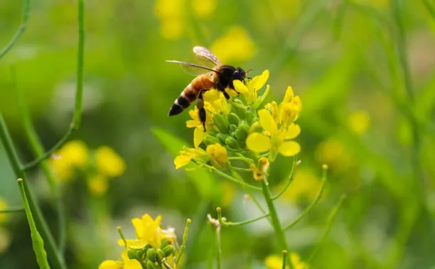 istockphoto-1899244671-612x612