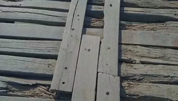 WhatsApp Image 2025-12-09 at 3.56.48 PM