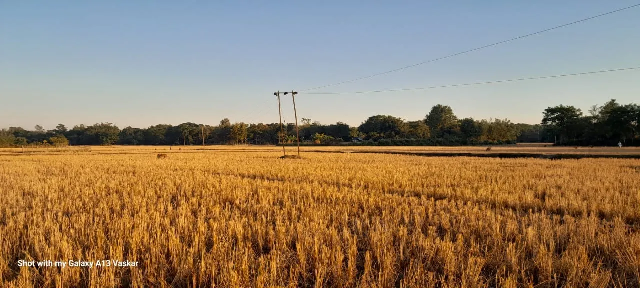 WhatsApp Image 2025-12-16 at 3.10.58 PM