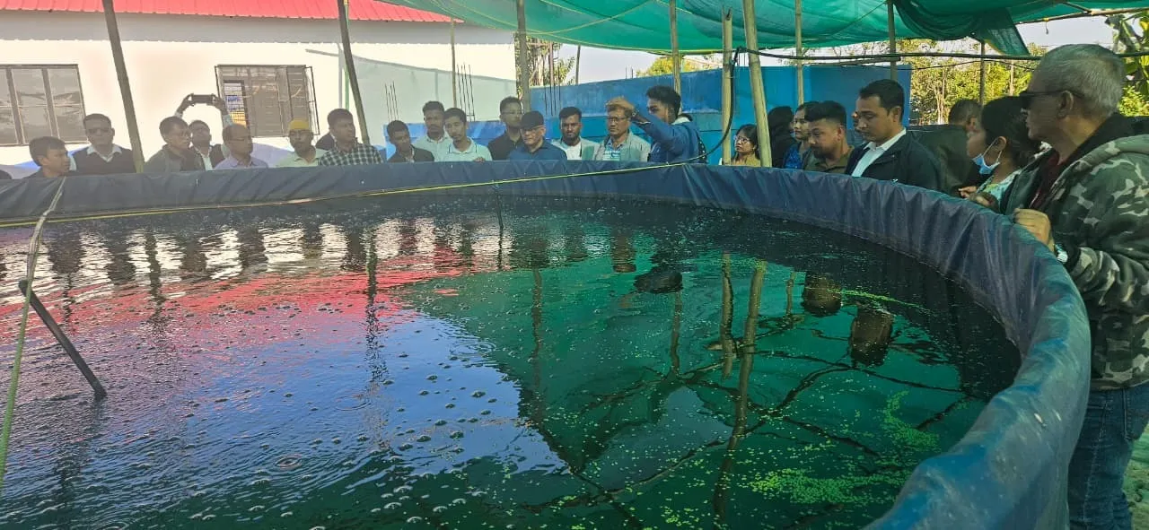 3b78603b-8eaa-4a02-966b-96c3c07459c2