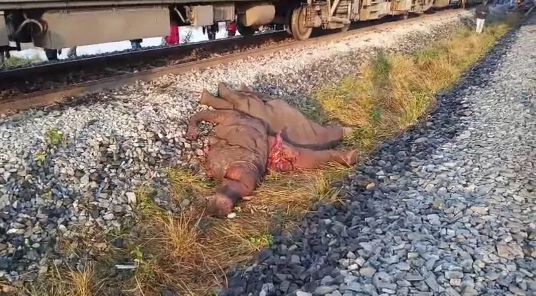 4c94e999-de3e-49b1-92bd-7a7068624238