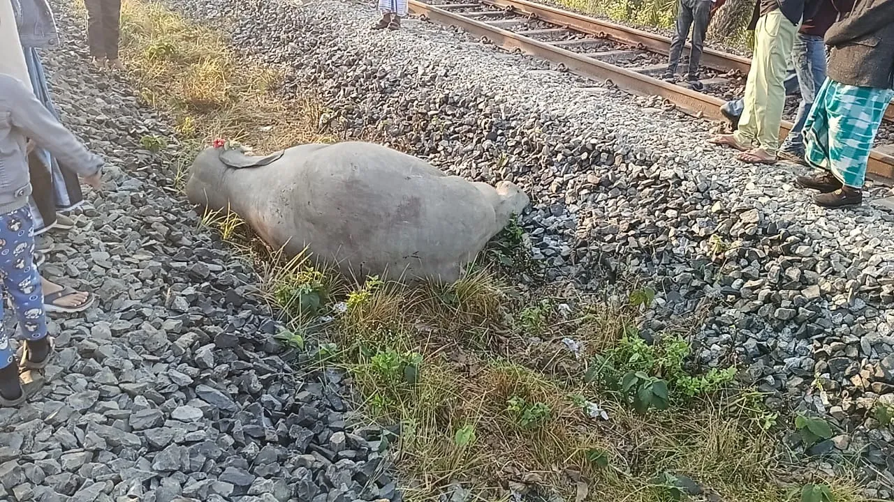 556d66fe-bd4d-4bf2-b3fa-458320e907f4