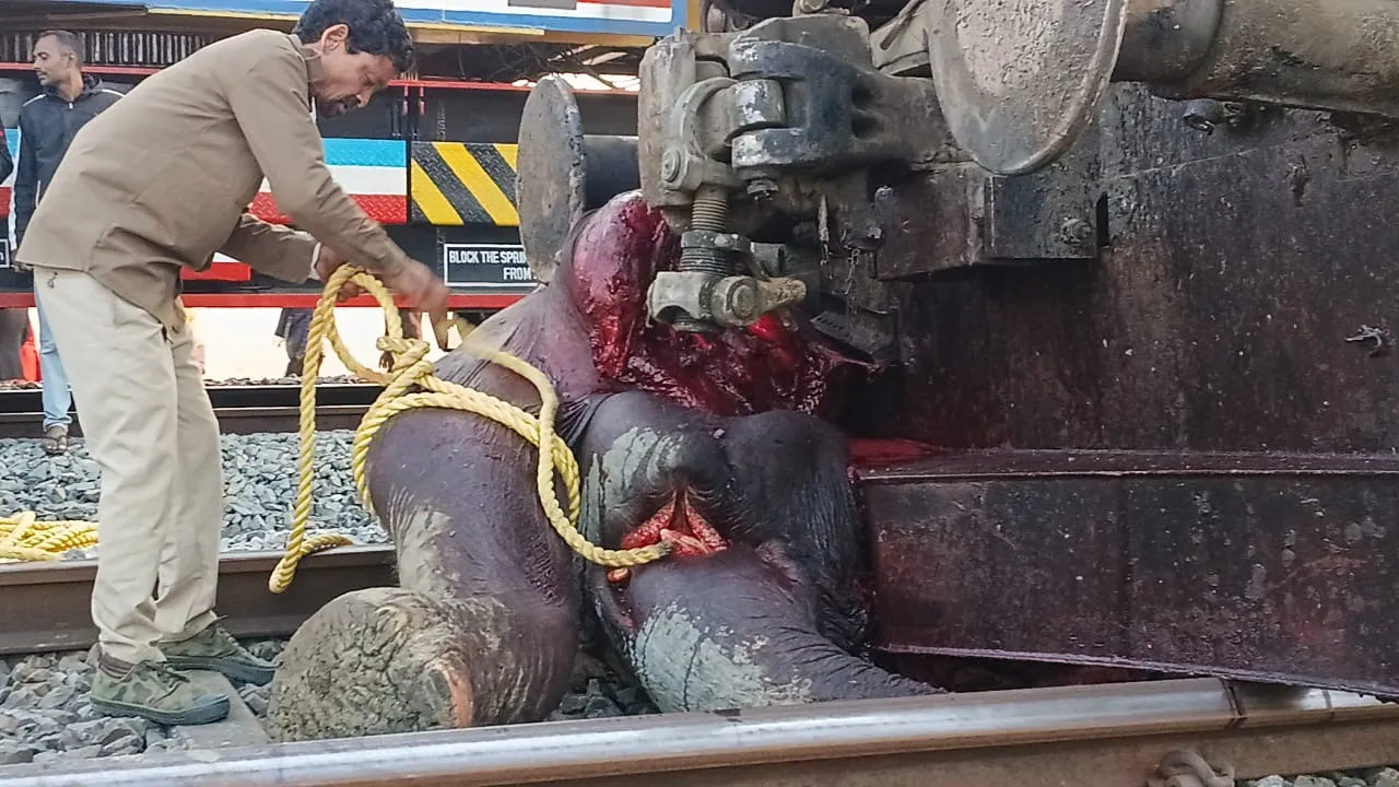 6112b703-06ff-4784-8596-03a9d89f7d9f