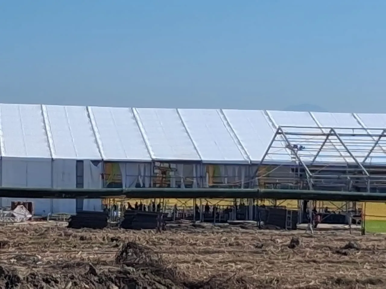 WhatsApp Image 2025-12-20 at 8.13.46 PM