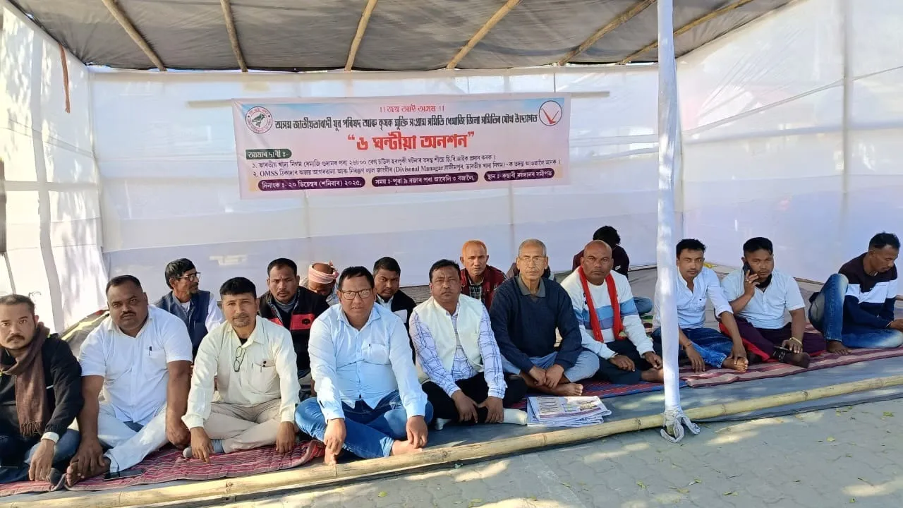 9c2d8617-01b7-4a80-9850-207253b1762a