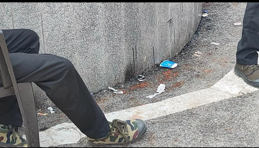 7ba5e394-8cc6-4598-a418-c7b2571131bb