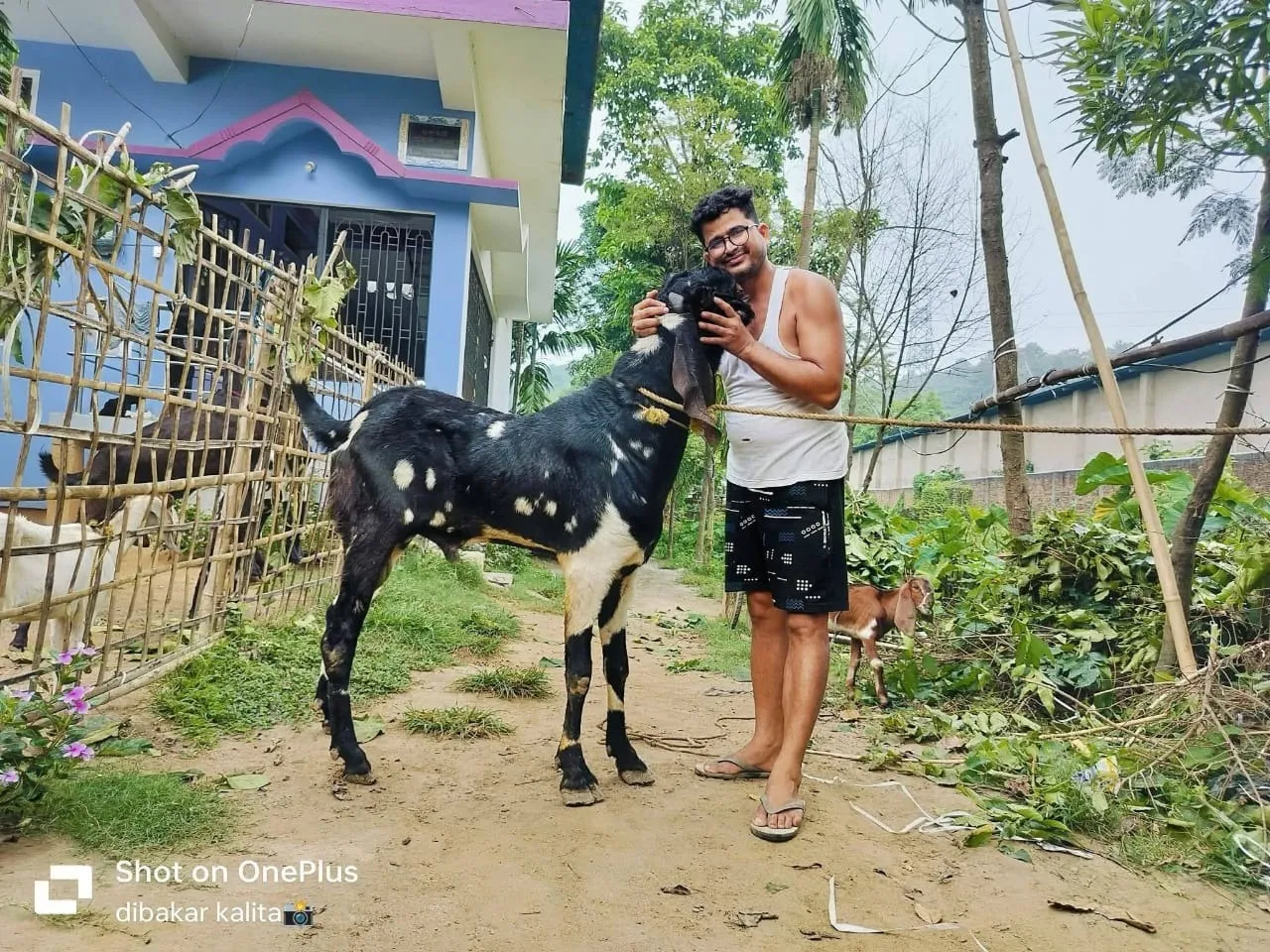 c4d684c0-23fb-40f7-bb48-bcd102c663d3