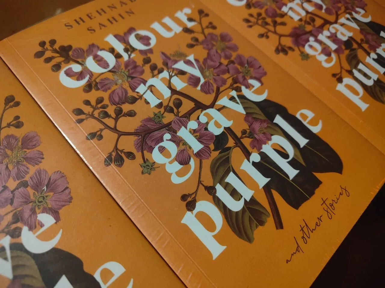 WhatsApp Image 2025-12-26 at 8.45.55 PM