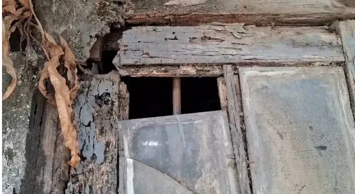 WhatsApp Image 2025-12-27 at 11.56.50 AM