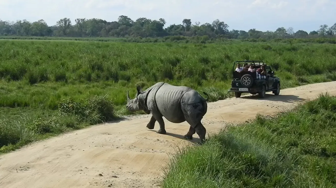 WhatsApp Image 2025-12-28 at 8.21.54 AM (1)