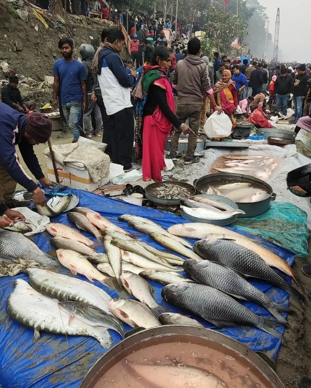 WhatsApp Image 2025-12-31 at 9.52.04 AM (1)