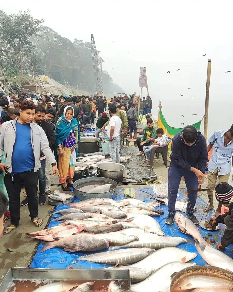 WhatsApp Image 2025-12-31 at 9.51.54 AM