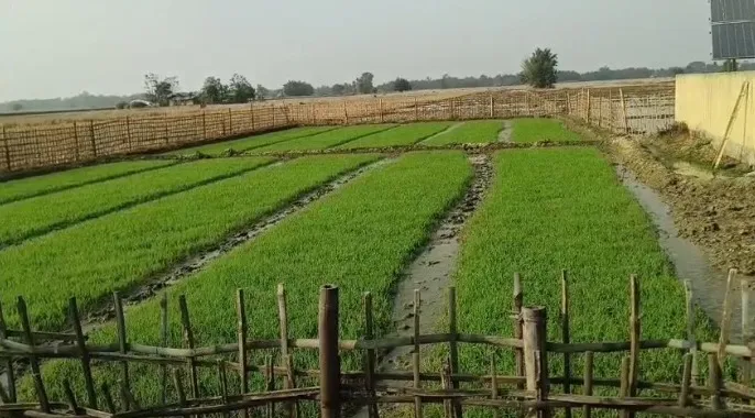 a3d0fc3b-8809-45c5-9e4b-1922d0ddc1ee