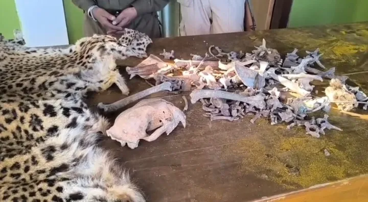 WhatsApp Image 2026-01-02 at 8.37.01 PM