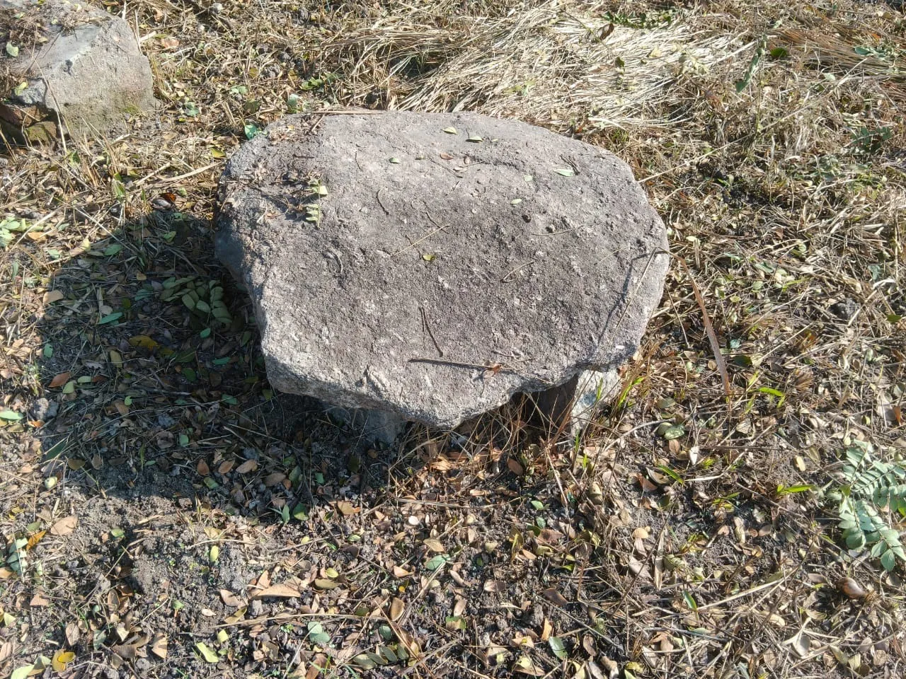 WhatsApp Image 2026-01-02 at 5.53.17 PM (1)