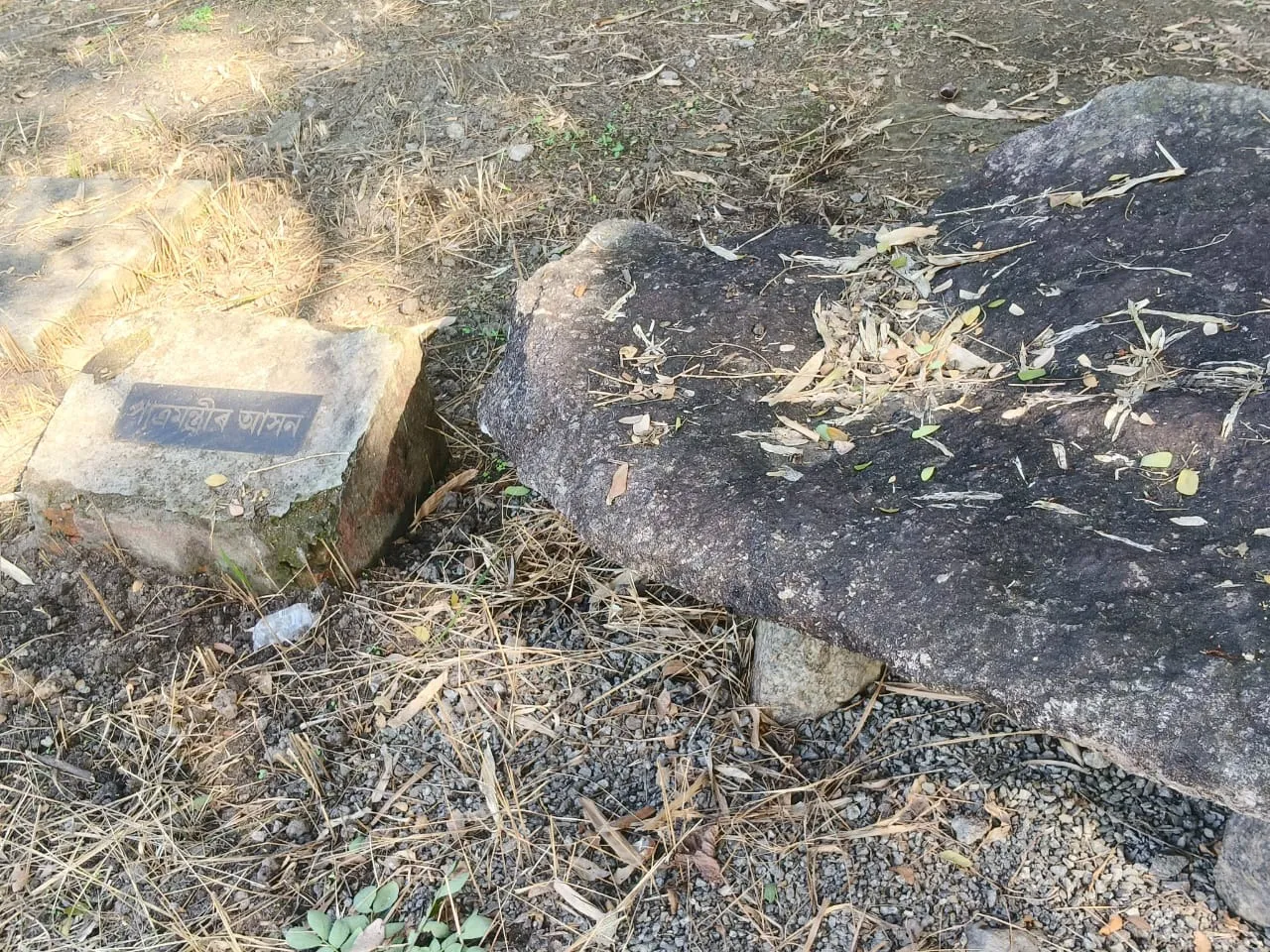 WhatsApp Image 2026-01-02 at 5.53.16 PM (1)