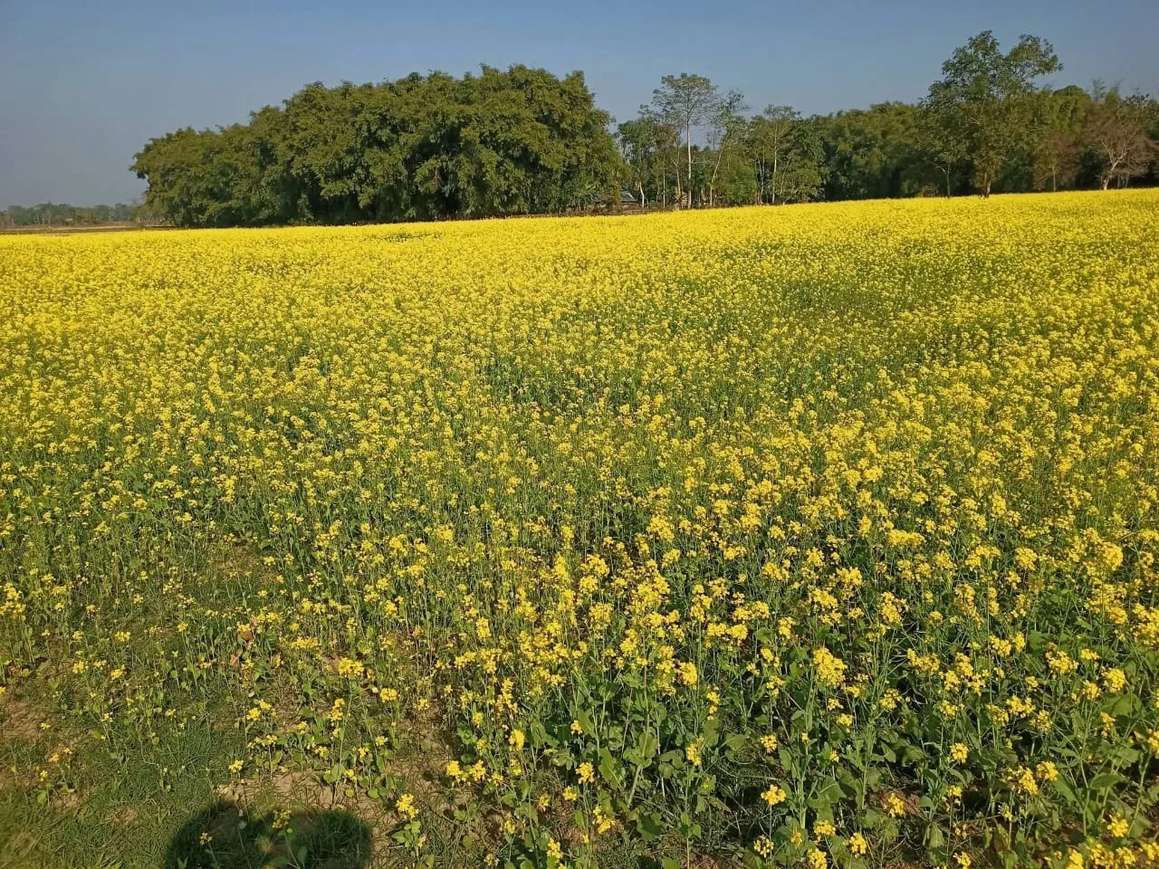 WhatsApp Image 2026-01-04 at 1.28.06 PM