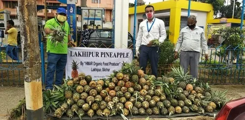 WhatsApp Image 2026-01-04 at 12.39.54 PM