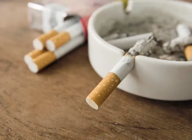 WhatsApp Image 2026-01-04 at 5.26.54 PM