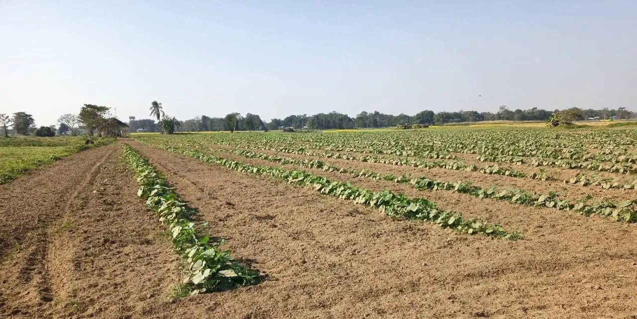 WhatsApp Image 2026-01-04 at 1.28.06 PM (1)