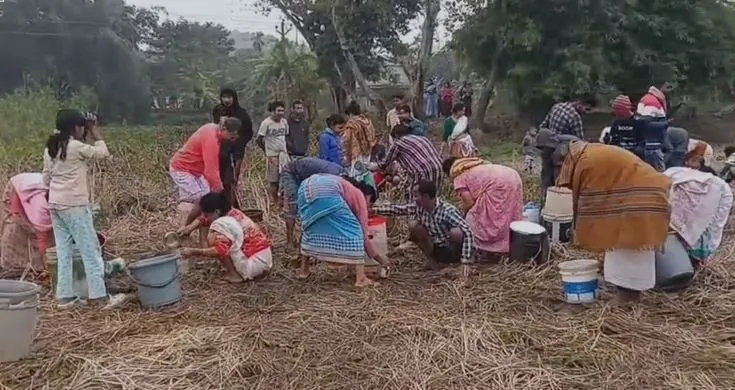 Capturegrtgrtrytytrgr