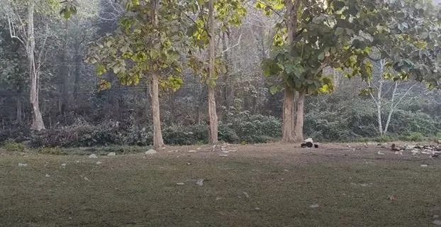 CapturevddasAcxcxcxcxc