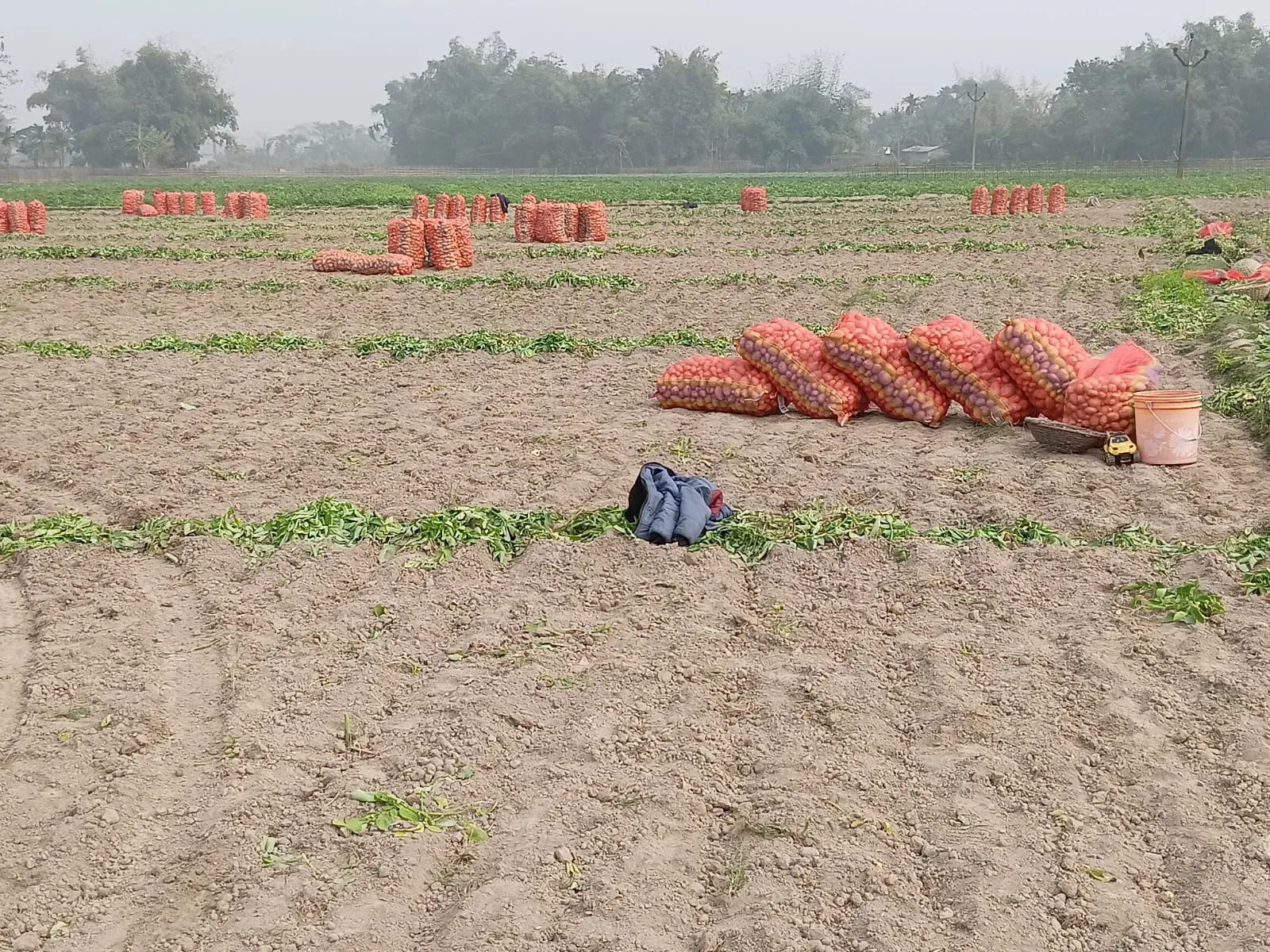 WhatsApp Image 2026-01-06 at 12.02.49 PM