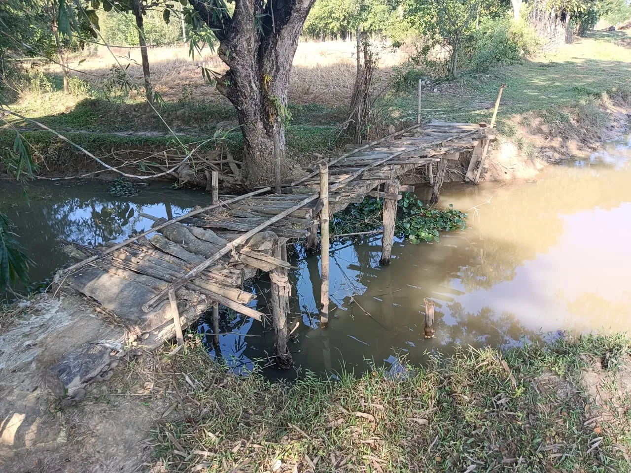 WhatsApp Image 2026-01-07 at 11.04.40 AM (1)