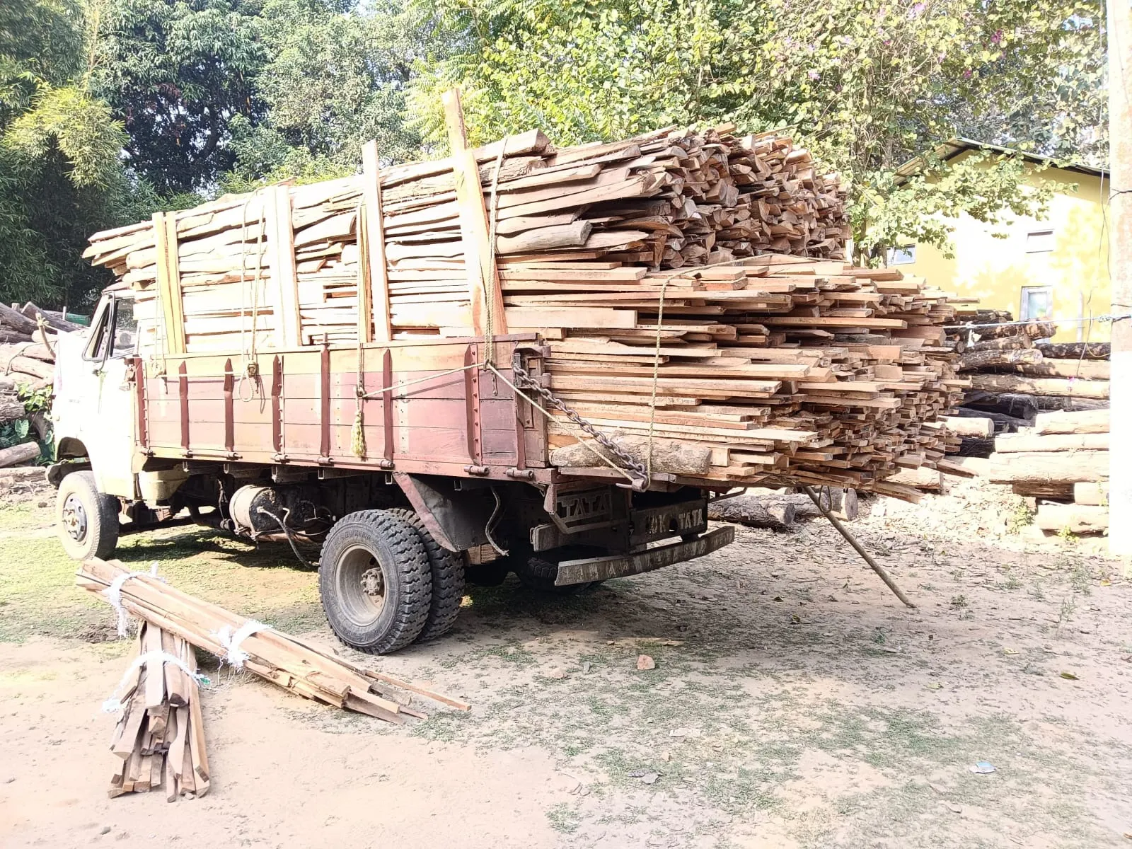 WhatsApp Image 2026-01-08 at 4.11.59 PM