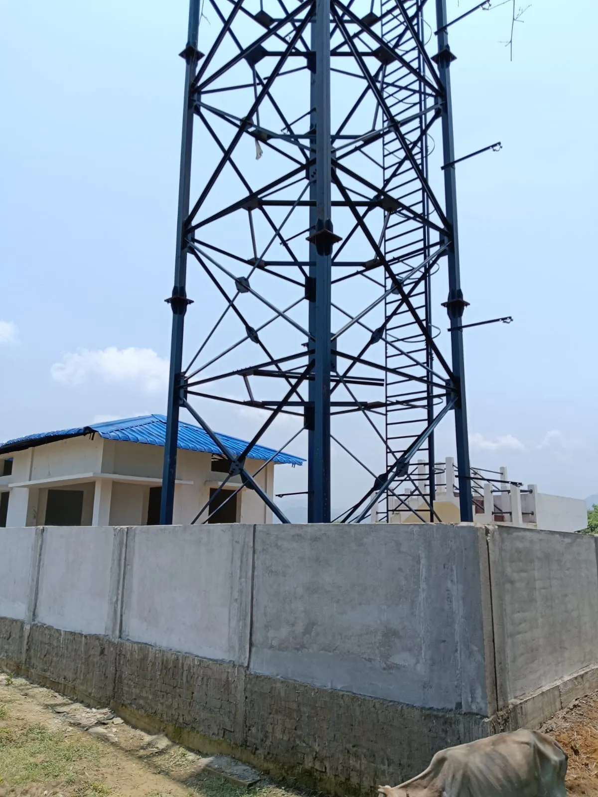 WhatsApp Image 2026-01-09 at 12.31.08 PM (1)