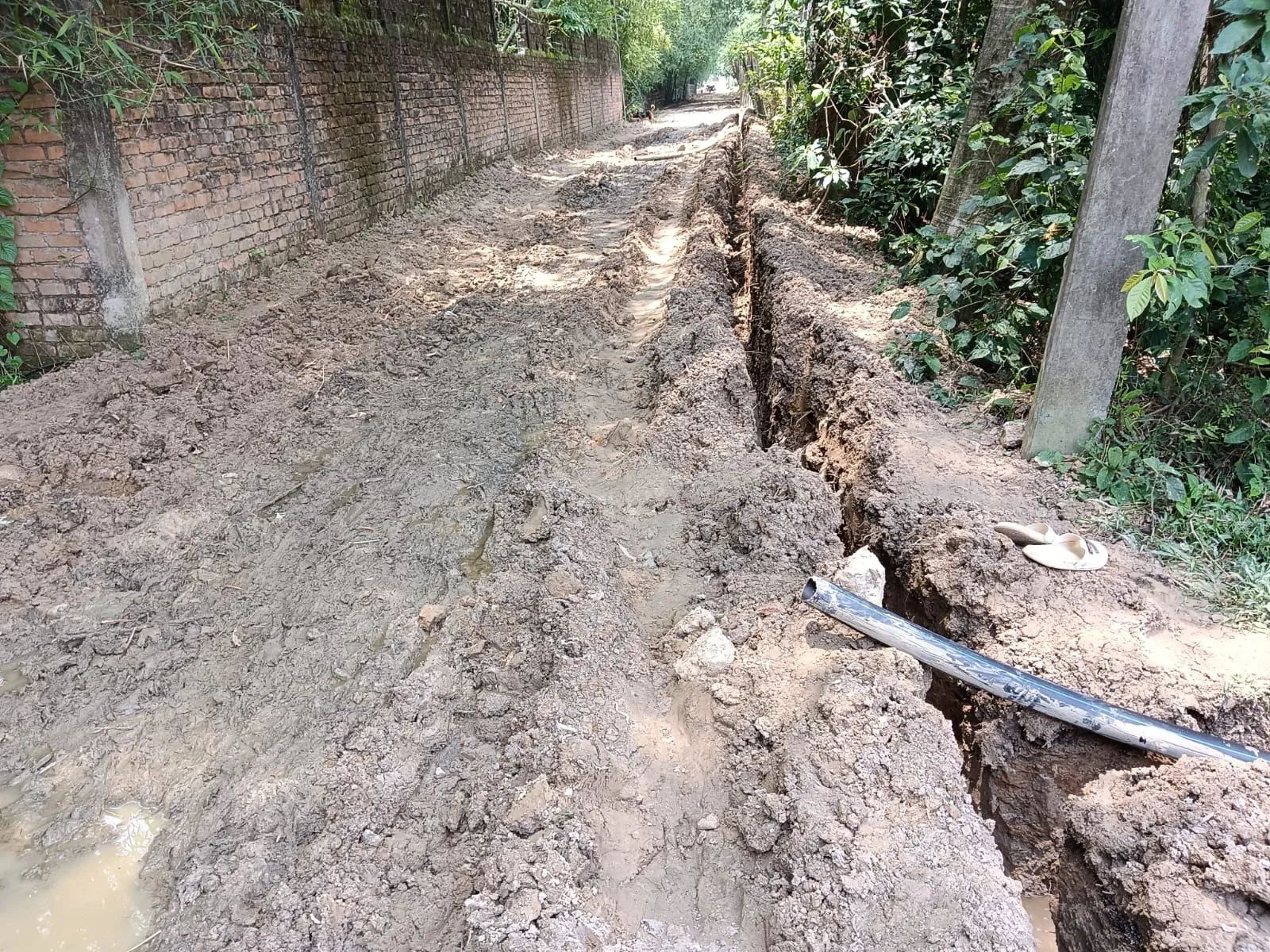 WhatsApp Image 2026-01-09 at 12.31.08 PM