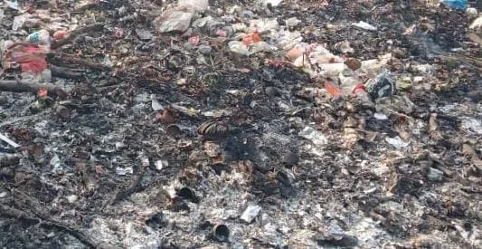 WhatsApp Image 2026-01-11 at 8.30.45 PM