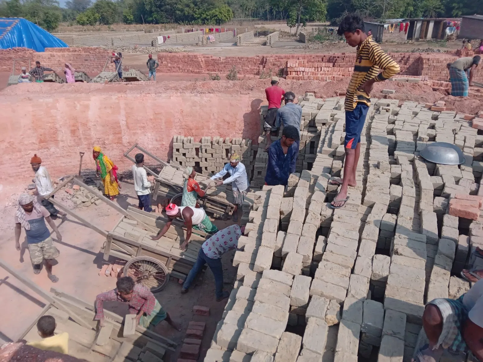 WhatsApp Image 2026-01-12 at 10.45.55 AM