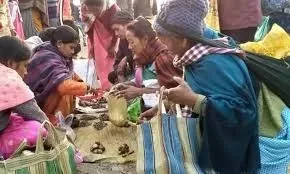 WhatsApp Image 2026-01-15 at 8.52.18 PM