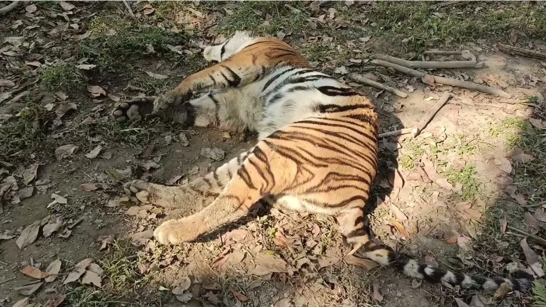 Capturebfgrtgyrfgerfe