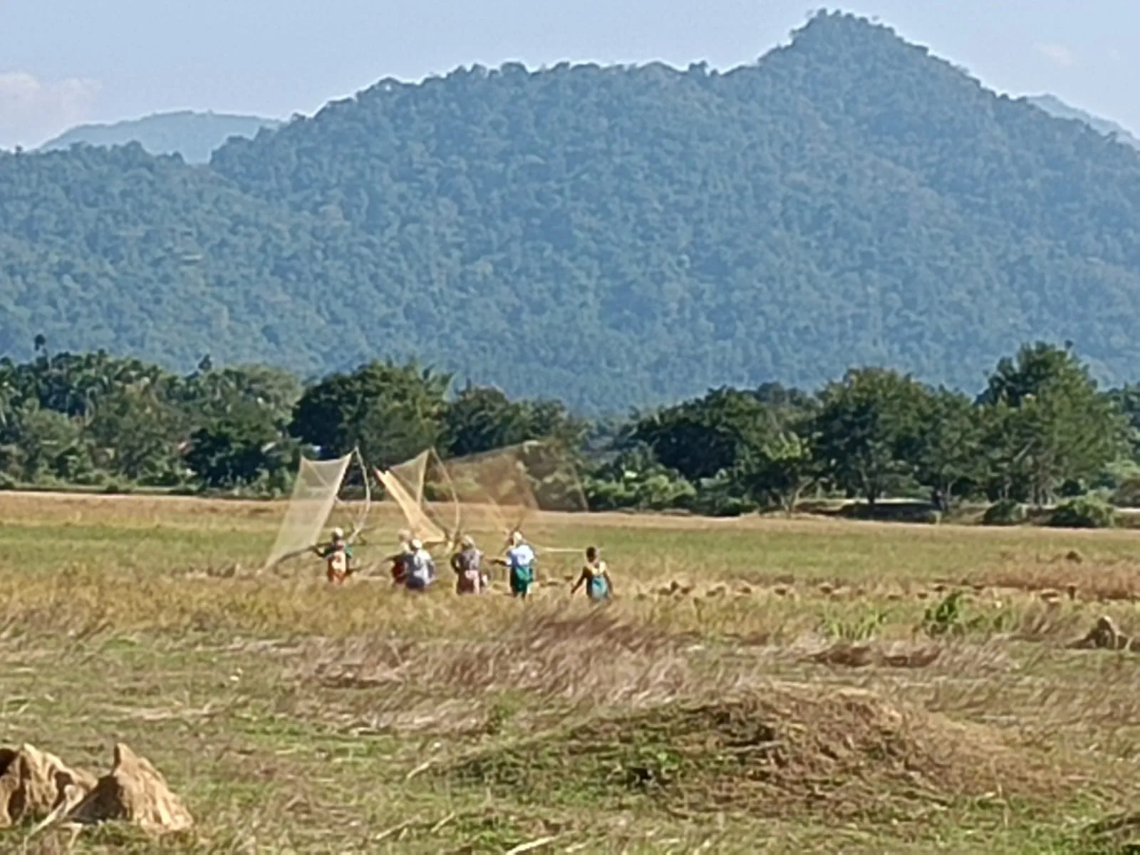 WhatsApp Image 2026-01-19 at 12.20.03 PM (2)