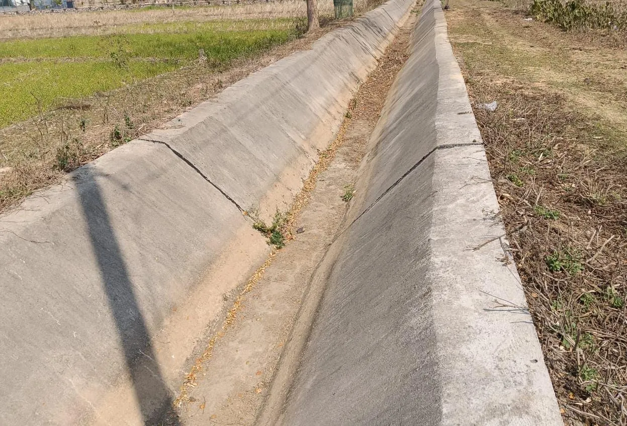 WhatsApp Image 2026-01-19 at 12.20.03 PM