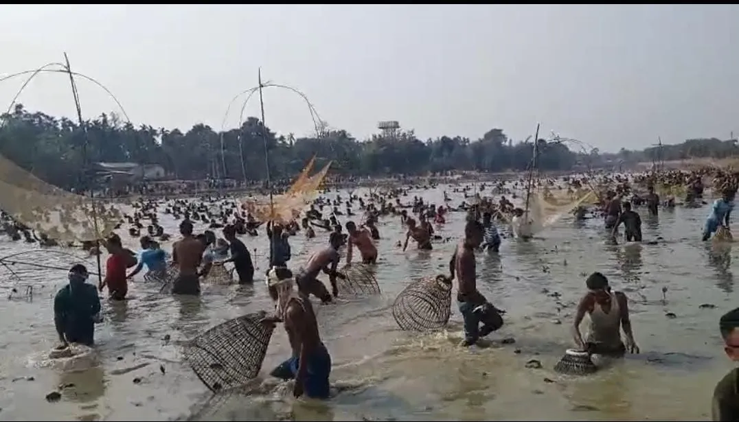 6cd01d36-5226-456c-a452-96a14d11503c