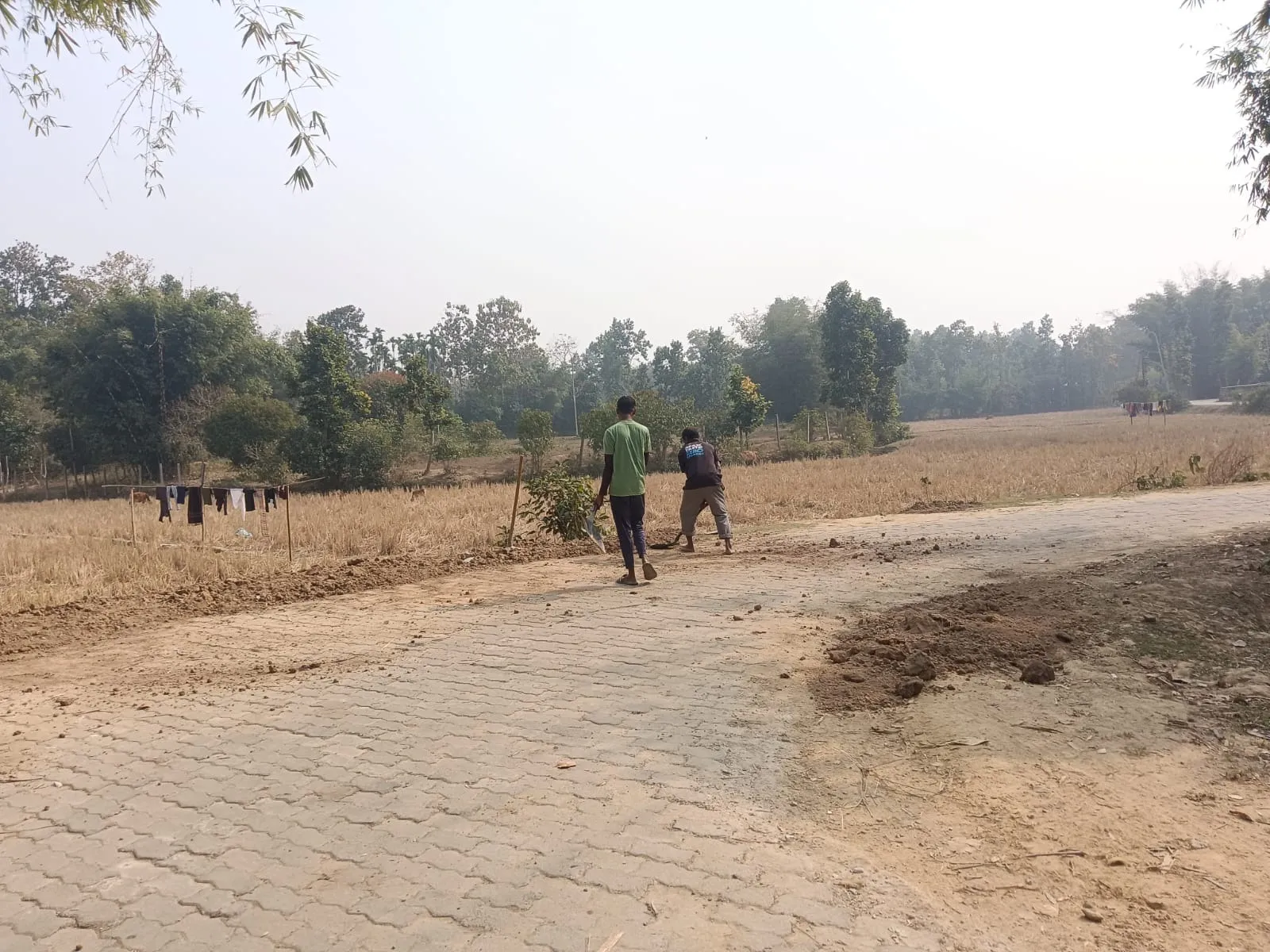 WhatsApp Image 2026-01-22 at 6.29.47 PM