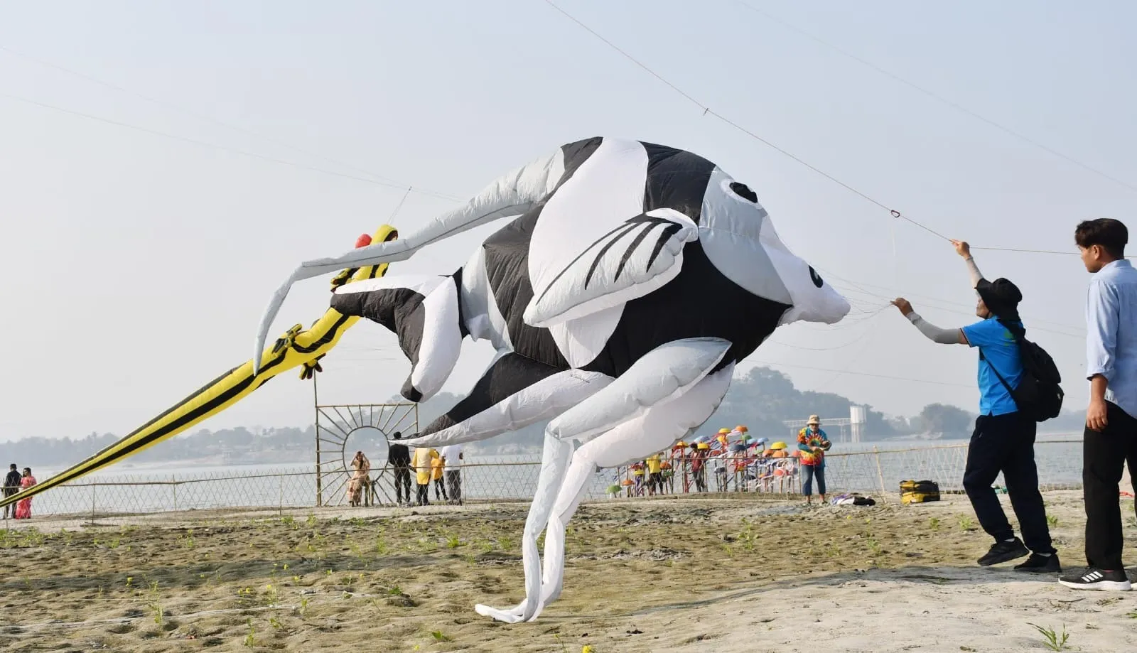 WhatsApp Image 2026-01-26 at 4.18.54 PM