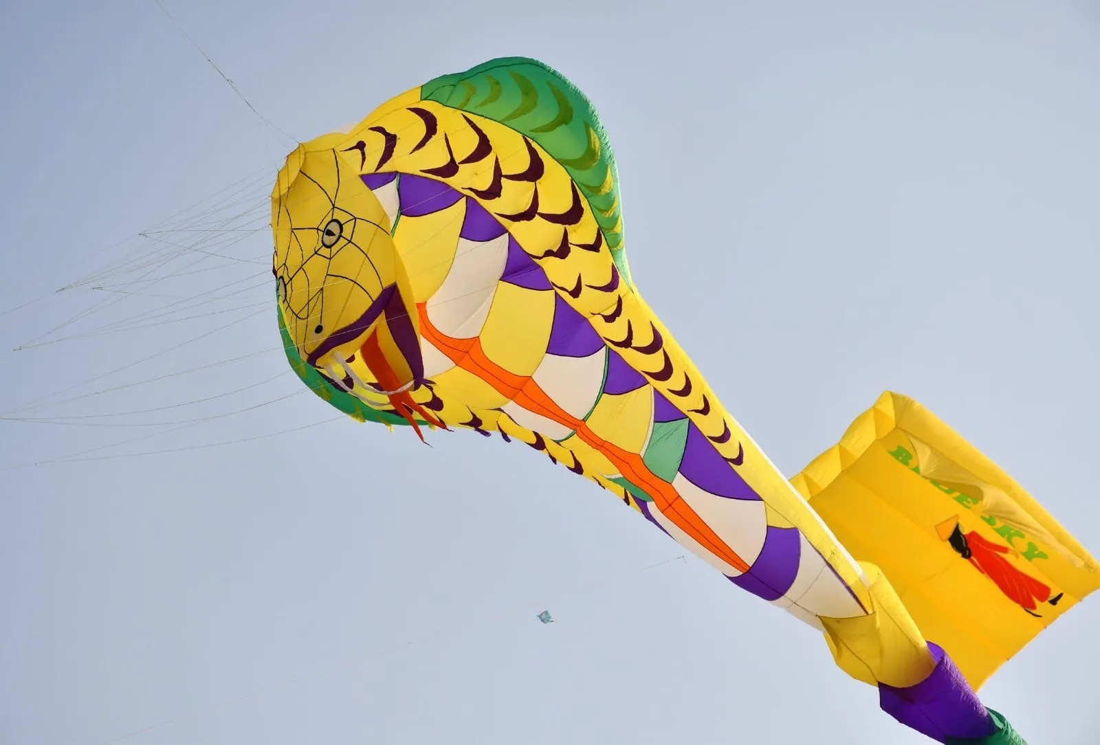 WhatsApp Image 2026-01-26 at 4.18.57 PM