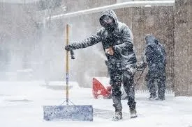 WhatsApp Image 2026-01-27 at 10.45.25 AM