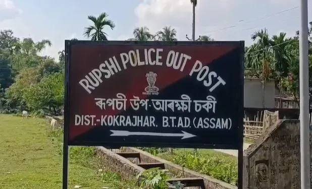 WhatsApp Image 2026-01-29 at 3.37.26 PM