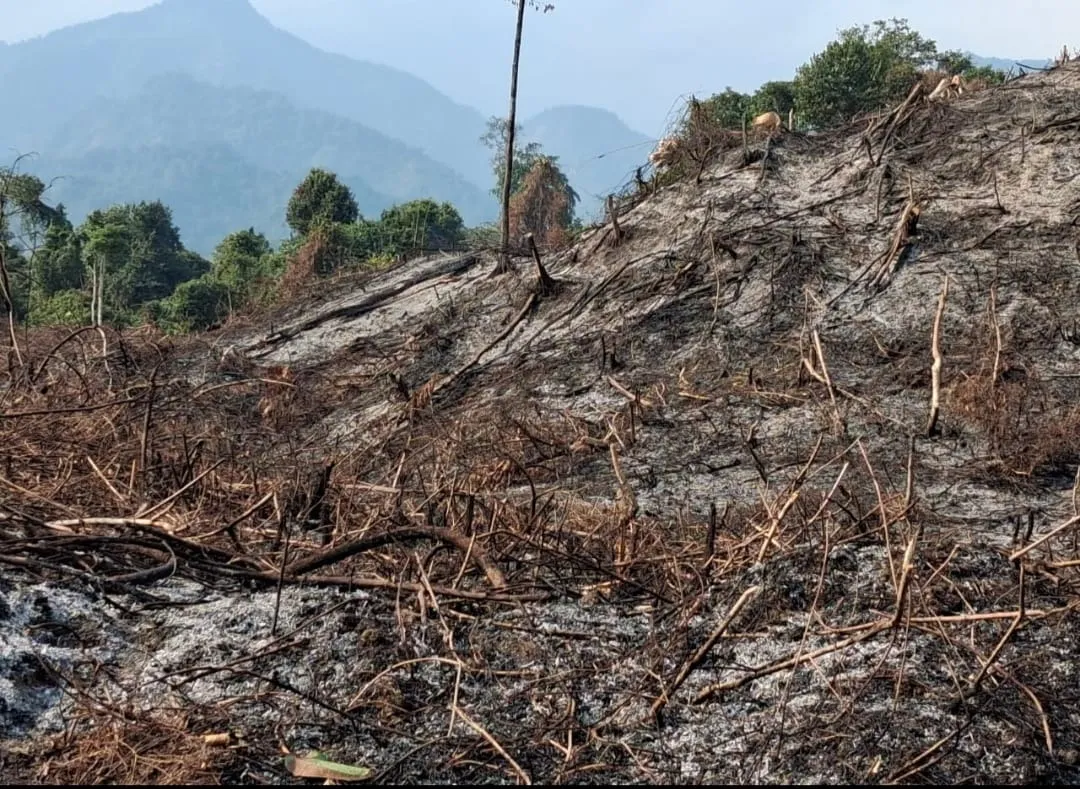 WhatsApp Image 2026-01-29 at 7.55.50 PM