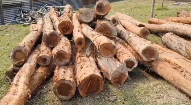 WhatsApp Image 2026-01-29 at 3.37.55 PM