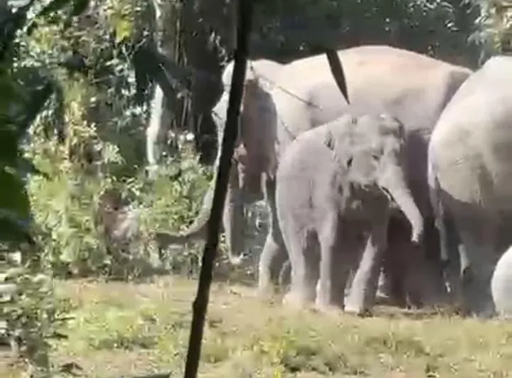 297585fd-6f09-4213-a49d-afe13b6cd96d