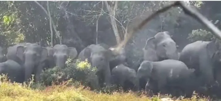 9b4f7a55-4b7e-42f1-8e44-26b49c5a44b0